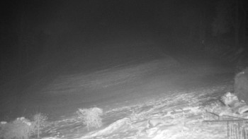 Chata Myslivna SKP Olomouc