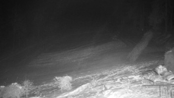 Chata Myslivna SKP Olomouc