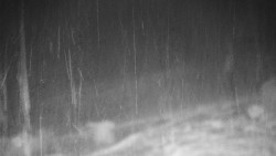 Běžecký lyžařský areál Nová Ves