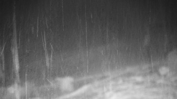 Chata Myslivna SKP Olomouc