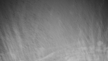 Chata Myslivna SKP Olomouc