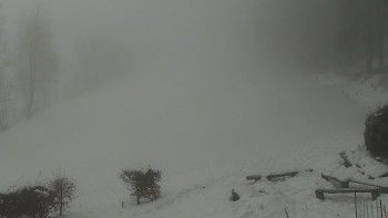 Chata Myslivna SKP Olomouc