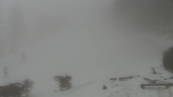 Chata Myslivna SKP Olomouc