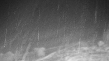 Chata Myslivna SKP Olomouc