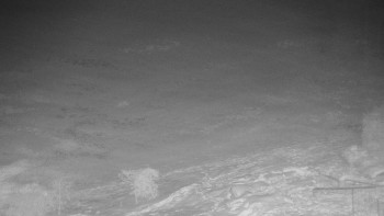 Chata Myslivna SKP Olomouc