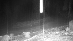 Běžecký lyžařský areál Nová Ves