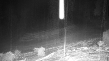 Chata Myslivna SKP Olomouc