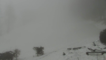 Chata Myslivna SKP Olomouc