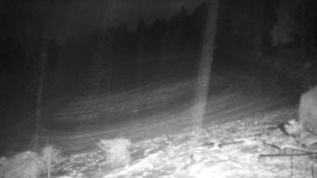 Chata Myslivna SKP Olomouc