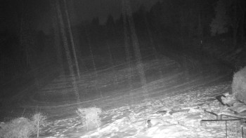 Chata Myslivna SKP Olomouc