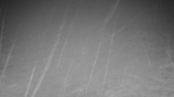 Chata Myslivna SKP Olomouc