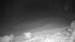 Chata Myslivna SKP Olomouc - Běžecký lyžařský areál Nová Ves - 28.1.2026 v 02:30