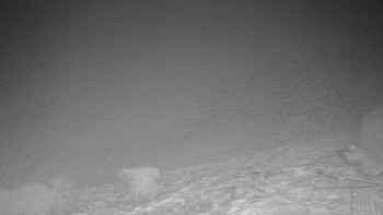 Chata Myslivna SKP Olomouc