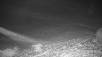 Chata Myslivna SKP Olomouc