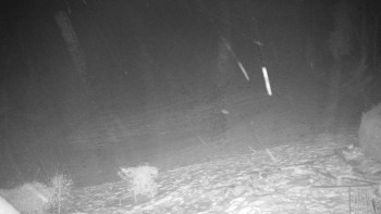 Chata Myslivna SKP Olomouc