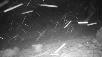 Chata Myslivna SKP Olomouc