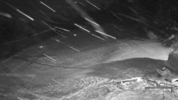 Běžecký lyžařský areál Nová Ves