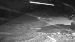 Běžecký lyžařský areál Nová Ves