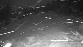 Chata Myslivna SKP Olomouc