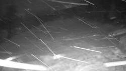 Běžecký lyžařský areál Nová Ves