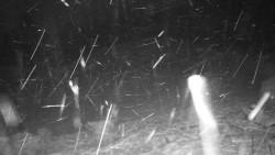 Běžecký lyžařský areál Nová Ves