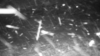 Chata Myslivna SKP Olomouc