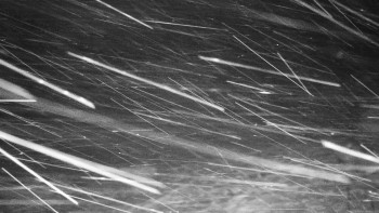 Chata Myslivna SKP Olomouc