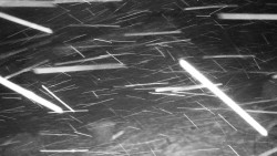 Běžecký lyžařský areál Nová Ves