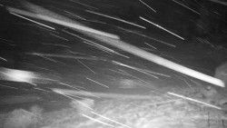 Běžecký lyžařský areál Nová Ves