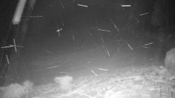 Běžecký lyžařský areál Nová Ves