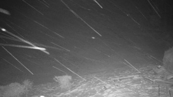 Chata Myslivna SKP Olomouc