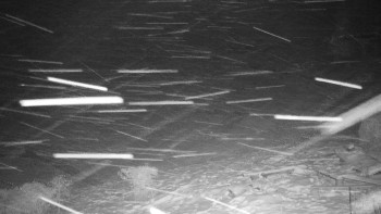 Chata Myslivna SKP Olomouc