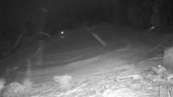 Chata Myslivna SKP Olomouc