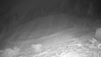 Chata Myslivna SKP Olomouc