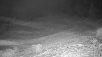 Chata Myslivna SKP Olomouc