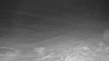 Chata Myslivna SKP Olomouc