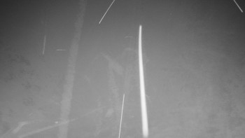 Chata Myslivna SKP Olomouc