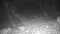 Běžecký lyžařský areál Nová Ves