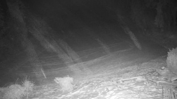 Chata Myslivna SKP Olomouc