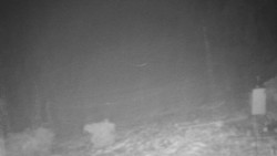 Běžecký lyžařský areál Nová Ves