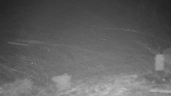 Chata Myslivna SKP Olomouc