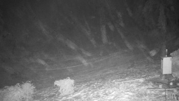 Chata Myslivna SKP Olomouc