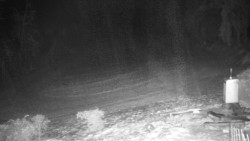 Běžecký lyžařský areál Nová Ves