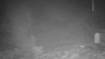 Chata Myslivna SKP Olomouc