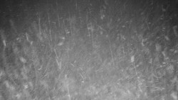 Běžecký lyžařský areál Nová Ves