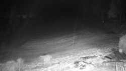 Běžecký lyžařský areál Nová Ves