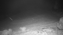 Běžecký lyžařský areál Nová Ves