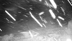 Běžecký lyžařský areál Nová Ves