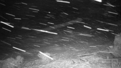 Běžecký lyžařský areál Nová Ves