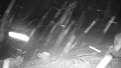 Běžecký lyžařský areál Nová Ves